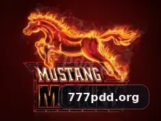 777pdd